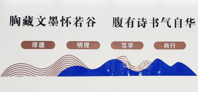 图书馆的静谧之美